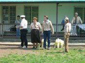 Štáb